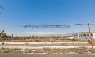 Lloguer Finca rústica a Crevillente. Crevillente alquiler suelo fachada a carretera