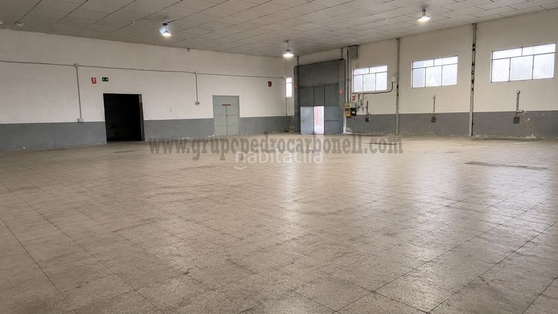 Foto a7cd19c1-613c-4930-add4-554248257ae6. Nau industrial a Catral