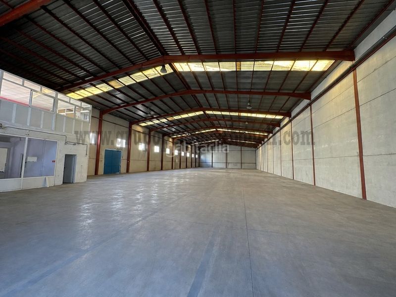 Foto 0ee0a866-e6e5-4727-8f8b-924ab61324f4. Nau industrial a Almoradí