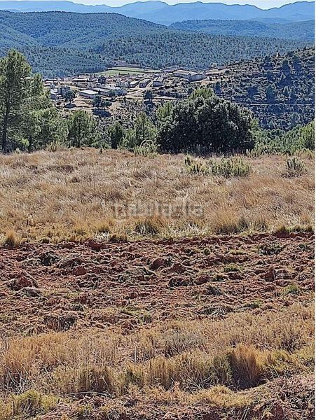 Foto 9308d535-ff78-43c2-9f43-dbd9c989cc76. Masia a Zucaina