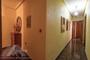 Ampliar foto 961a5eb8-1f4c-434a-ac86-30730be12b58.jpg