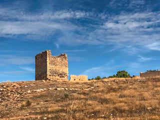 Residential Plot in Calle palomar 1