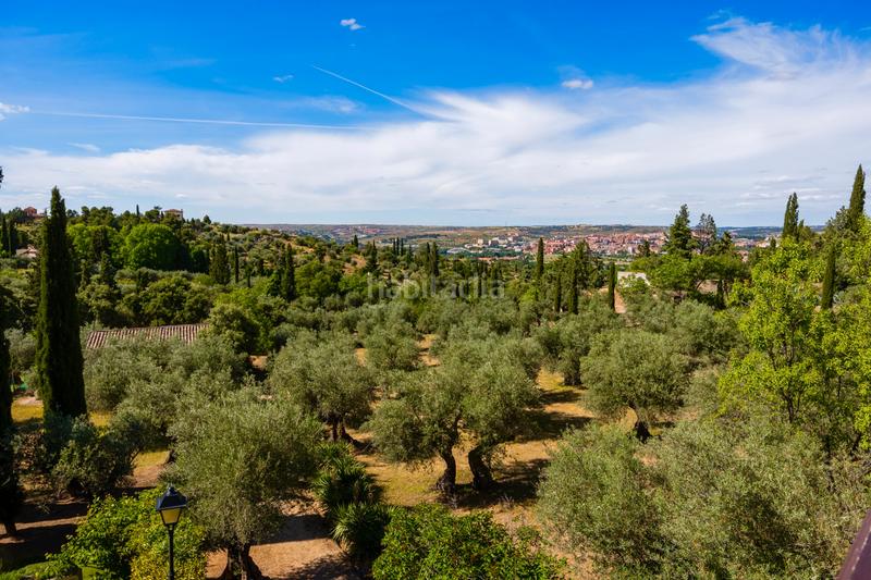 Foto 1d718529-fc25-4eac-96bb-53b936c7beb7. Chalet mit heizung pool in Los Cigarrales-La Bastida Toledo