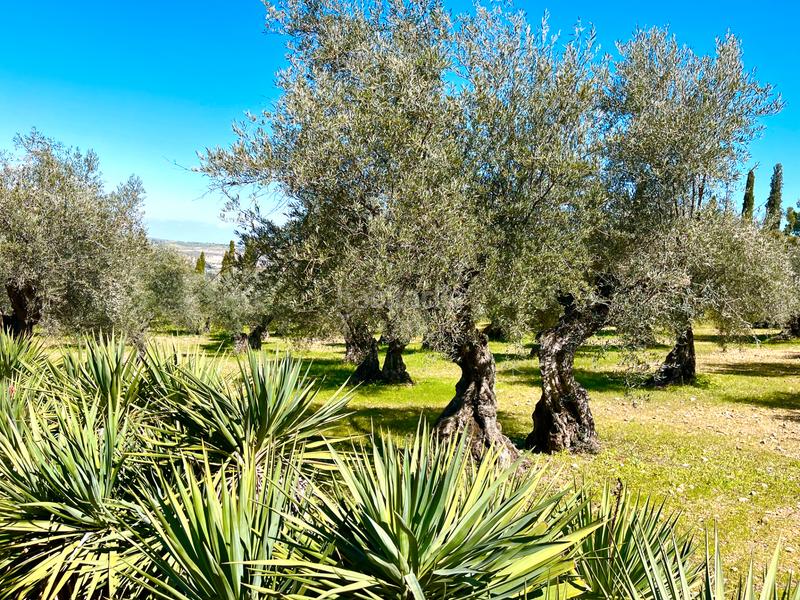 Foto 2fe59d9f-0f5f-4f44-96ad-ec3f7bf5fd6c. Chalet en Los Cigarrales-La Bastida Toledo