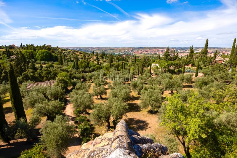 Foto 774e0244-c3f8-4014-ad39-b9313a1137e9. Chalet en Los Cigarrales-La Bastida Toledo