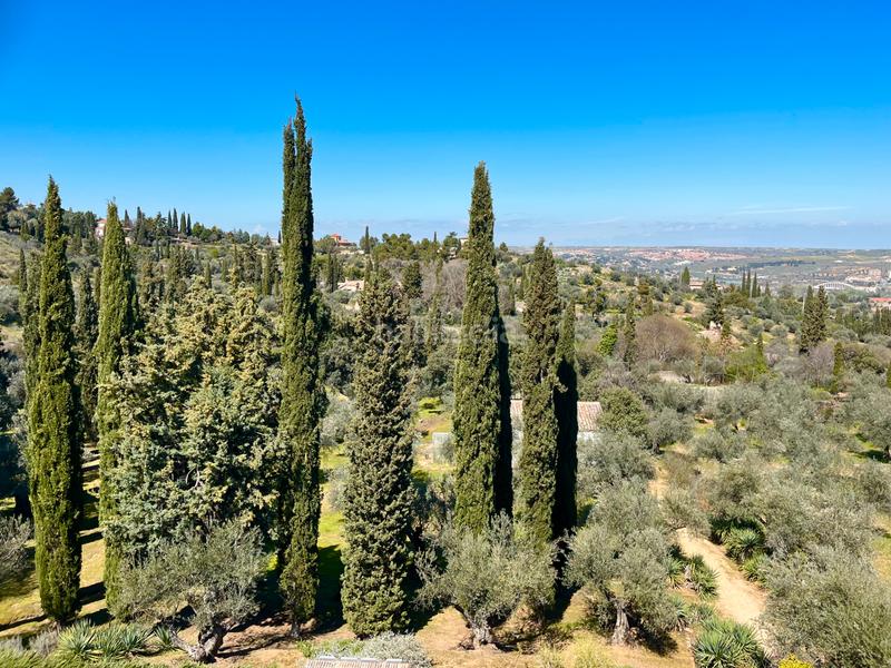 Foto ea95ce4a-2113-4edc-970b-3b1e77cf7d3c. Chalet en Los Cigarrales-La Bastida Toledo