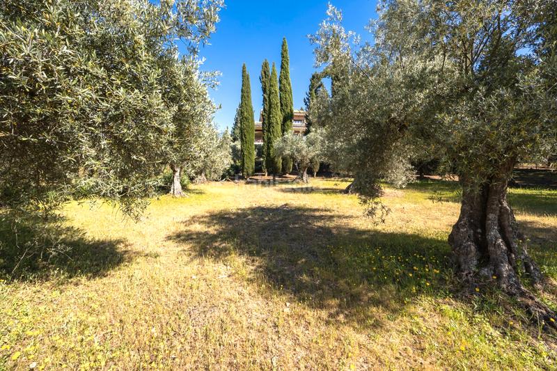 Foto 1b88846a-2a78-4a5c-b591-a754b5f546ef. Chalet con riscaldamento piscina in Los Cigarrales-La Bastida Toledo