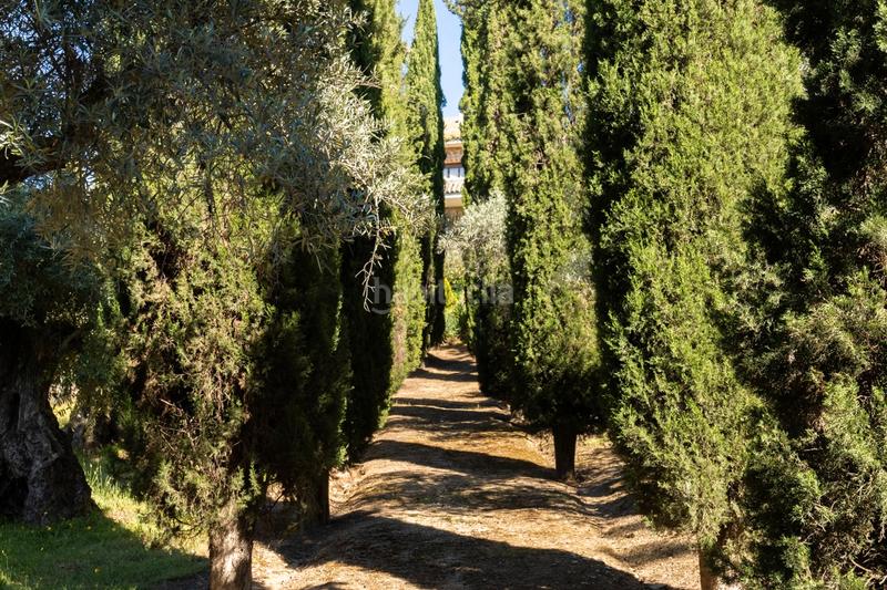 Foto 6d16241b-eaa0-45e7-98e7-63183261de43. Chalet con riscaldamento piscina in Los Cigarrales-La Bastida Toledo