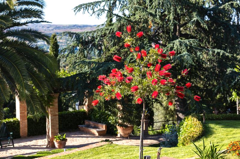 Foto b28ea466-d133-476b-8d1a-67aef15a4bbc. Chalet con riscaldamento parcheggio piscina in Los Cigarrales-La Bastida Toledo