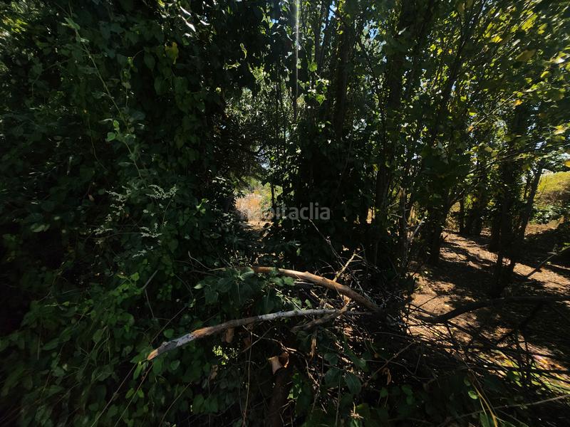 Foto 39c3cffe-ad5b-429a-ae62-459e9224c1a1. Terreno residencial en Marchamalo