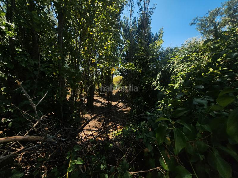 Foto 6642dd4b-3ce1-4819-8b39-a8f96f165d4e. Terreno residencial en Marchamalo