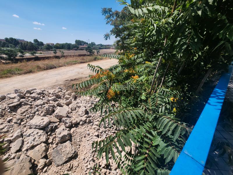 Foto ae38ce9c-5ae3-402a-8cbe-559b1d8554a0. Terreno residencial en Marchamalo