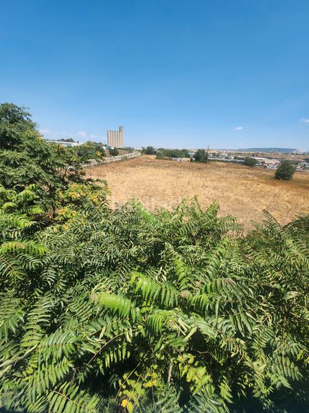 Foto b488305d-c957-4d19-a1d9-5d3a46584899. Terreno residencial en Marchamalo