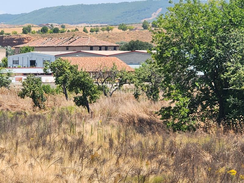 Foto c0a18f68-6c9e-439c-9926-539aeb197205. Terreno residencial en Marchamalo