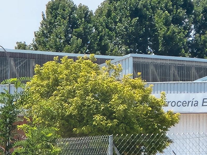 Foto e4d9a179-370b-46e0-8a59-eb9adc5eff49. Terreno residencial en Marchamalo