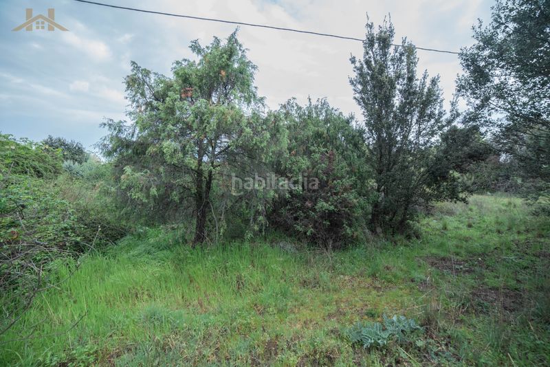 Foto 92d633e1-544c-4981-9f81-eec2147b1d80. Terreny residencial a Tiemblo (El)