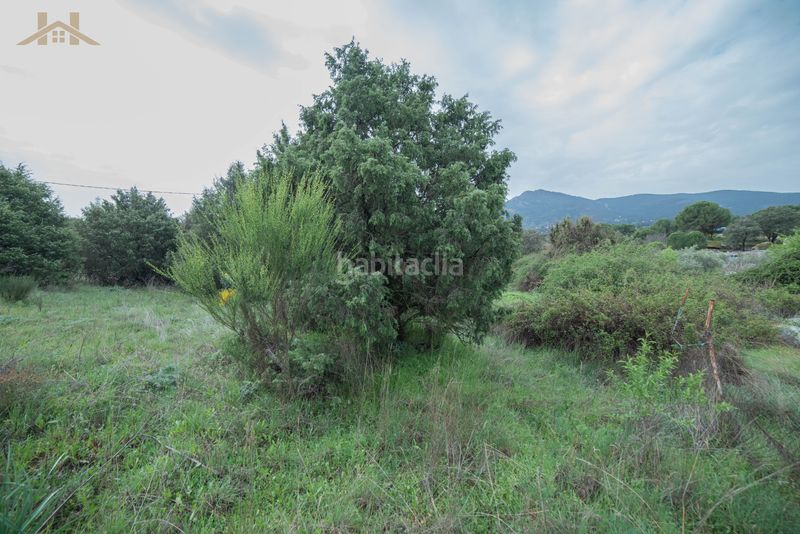 Foto c47296df-32c1-4d34-bfb0-a17c6db4a83e. Terreny residencial a Tiemblo (El)