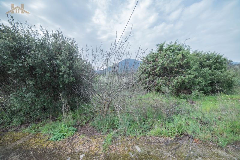 Foto cfa6547b-8134-4bfc-a84f-32d64c10dbf8. Terreny residencial a Tiemblo (El)