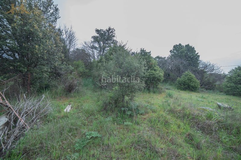 Foto d5075cd4-524e-45e7-9bdd-ab8eb3ad7580. Terreny residencial a Tiemblo (El)