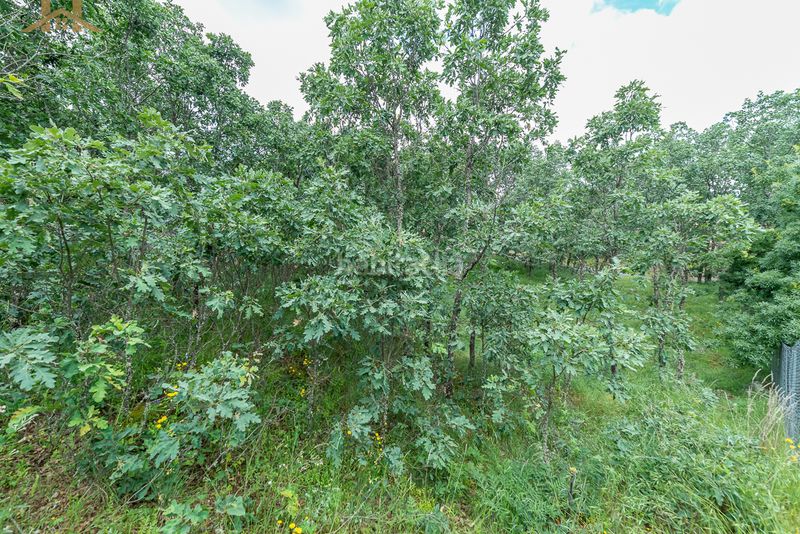 Foto ee8bffa0-c1c5-4d3e-9cc0-08458f827d10. Terreny residencial a Navahondilla