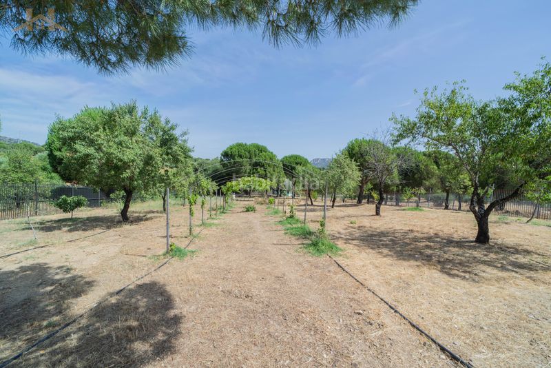 Foto e143f206-3667-49df-b094-6fa8967a0a7a. Finca rústica a San Martín de Valdeiglesias