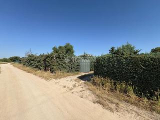 Finca rústica a Centro. Terrenos en venta en móstoles