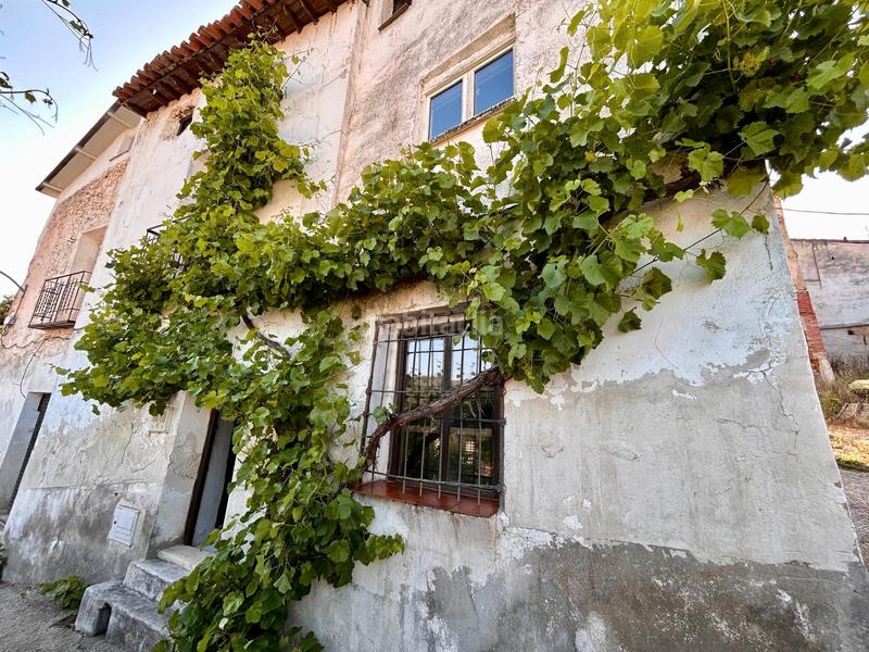 Foto 906b895f-8567-4f97-b741-b8d05b58cc08. Mas dans Renera