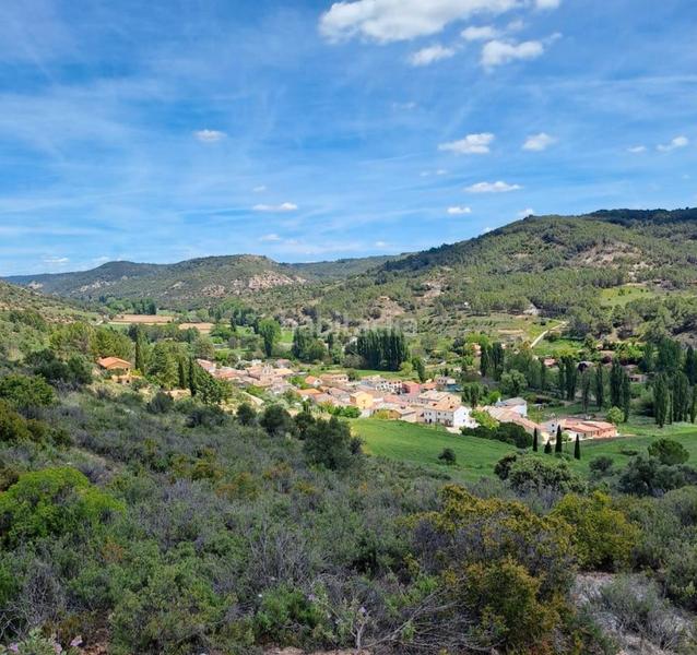 Foto c6d56fb0-5119-42ae-a7f0-d51cd0176097. Mas dans Renera