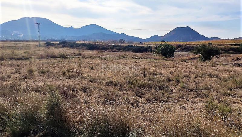 Foto 2793331c-4e58-41d7-ae7c-d200512a1b10. Finca rústica gran parcela rústica urbanizable. en Agost