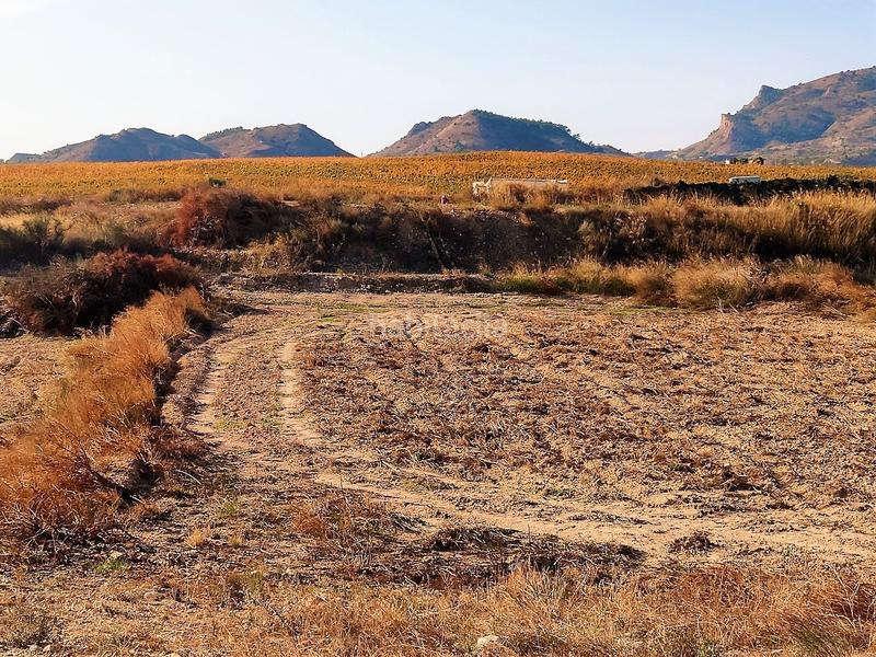 Foto dd414fda-3943-4e11-bf8c-2b26d5b0de5d. Finca rústica gran parcela rústica urbanizable. en Agost