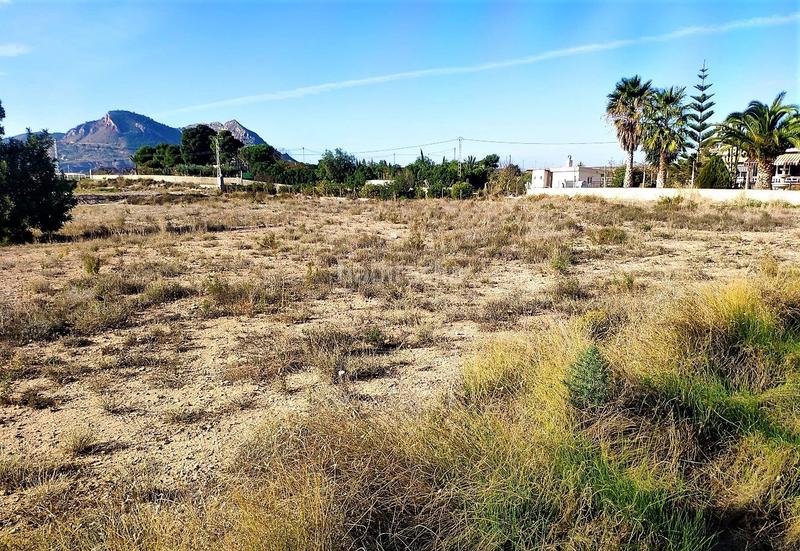 Foto e14ec02e-6d22-4c0c-8d71-1abf826a6082. Finca rústica gran parcela rústica urbanizable. en Agost