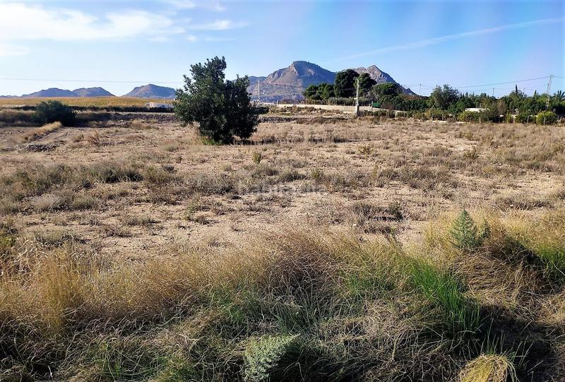 Foto ea104ae7-2fdf-4f9c-b422-3cb1b1f029a5. Finca rústica gran parcela rústica urbanizable. en Agost