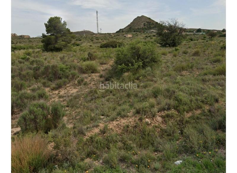 Foto f87d1590-4e29-46b0-90e3-f8ff43f8579d. Fondo rustico in Moralet Alicante