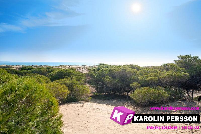 Foto 9efb4c3e-7825-4190-b546-e9521f1e131b. Casa villa el pinet en La Marina Elche / Elx