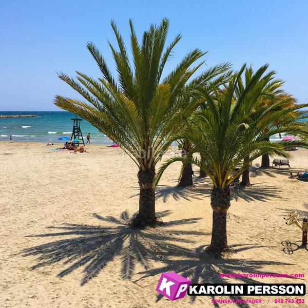 Foto 27d175b1-42a2-4b97-bc15-7cce5d1c6a73. Haus in Playa Tamarit-Playa Lissa Santa Pola