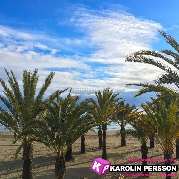 Foto 5085448d-6372-4fba-9532-e2a6726e7745. Pis a Playa Levante Santa Pola