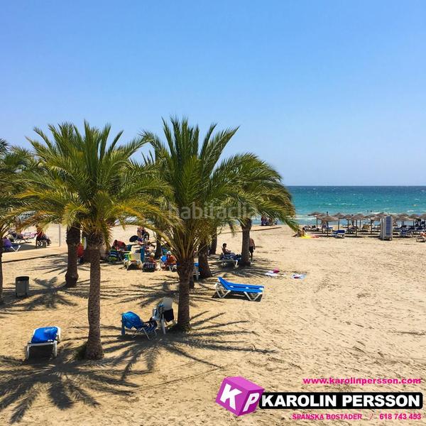 Foto 5998a7f7-242f-48be-9037-c5b719905afb. Pis a Playa Levante Santa Pola