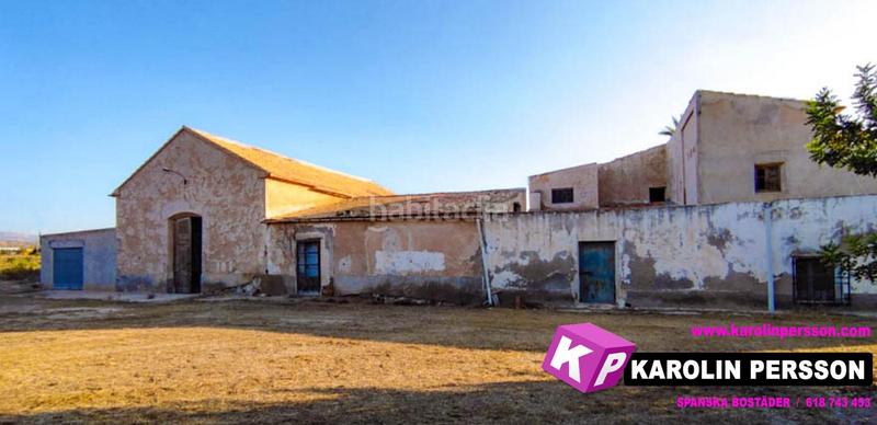 Foto 24aa3ddc-e816-4659-a3e9-fed63b459532. Mas dans Perleta - Maitino Elche / Elx