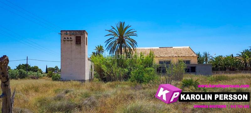 Foto 92a35f79-f4e6-4e4f-90be-b6cfc2f752fe. Mas dans Perleta - Maitino Elche / Elx