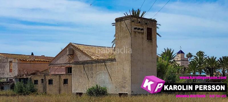 Foto ceaf1a2a-8632-461c-8917-65616a2cba1a. Mas dans Perleta - Maitino Elche / Elx