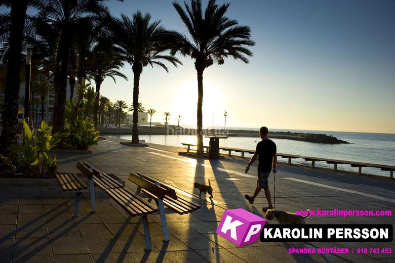 Foto 4e96e1f2-3514-4c36-9055-8defe55bb550. Flat with pool in Punta Prima Torrevieja