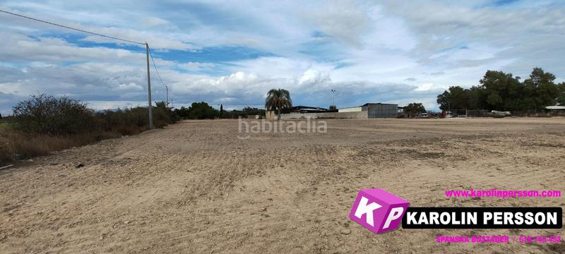 Foto 115d91ef-bd04-47cd-95d6-84c1d981a7f7. Fondo rustico in Valverde Elche / Elx