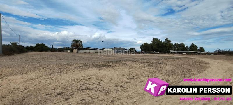 Foto 846904e6-df5d-4454-9835-5a520e66a73e. Fondo rustico in Valverde Elche / Elx