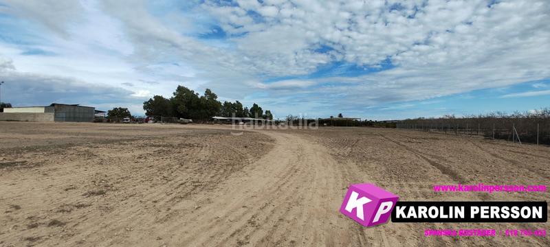 Foto 972cfa29-3fb0-4fb6-a1c2-b454b2bb7c3e. Fondo rustico in Valverde Elche / Elx