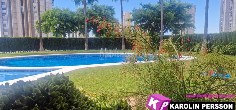 Foto 370b708f-94d2-4de2-be3d-ee834b1bff99. Appartement avec piscine dans Via Parque Benidorm