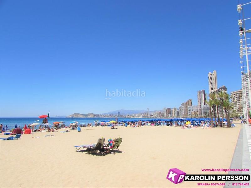 Foto efbeb51e-b9fc-4cbc-b16c-1c05eede4284. Appartement avec piscine dans Via Parque Benidorm