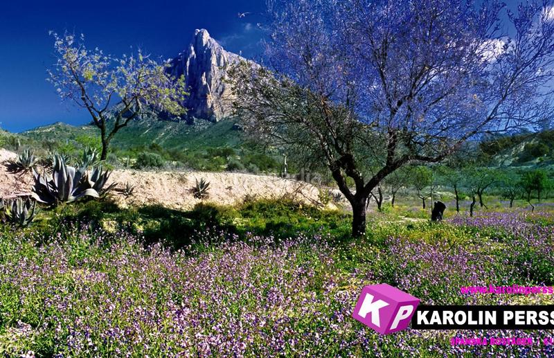 Foto 45c82417-1b0e-4e4a-a89d-379343387664. House with pool in balcón de Finestrat-terra marina Finestrat