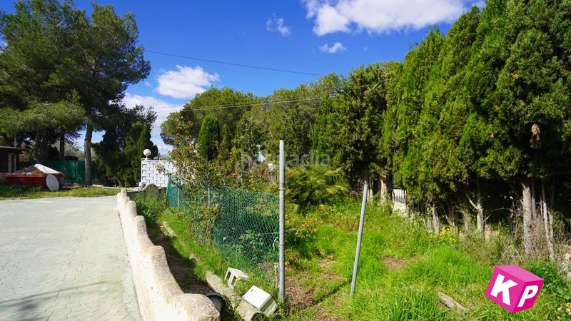 Foto e77bda10-a912-4193-b585-f79cbde51c06. Casa amb aparcament piscina a Valverde Elche / Elx