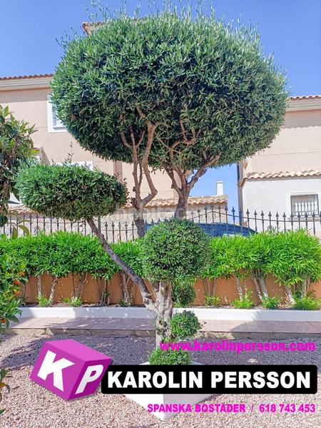 Foto 7b32ca8b-0e98-4ebe-81f9-895e943cd02a. Haus mit parking pool in Los Balcones y los Altos Orihuela