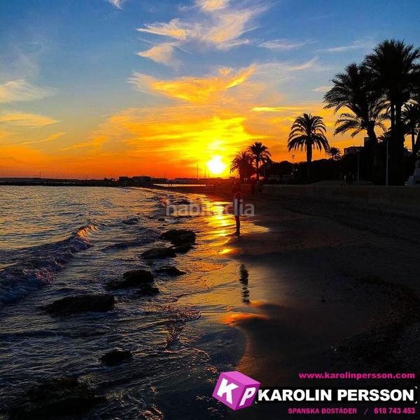 Foto 376855df-95a4-43b6-8c8e-f5cb1b04d1b6. Planta baixa a Calas Santiago Bernabeu Santa Pola